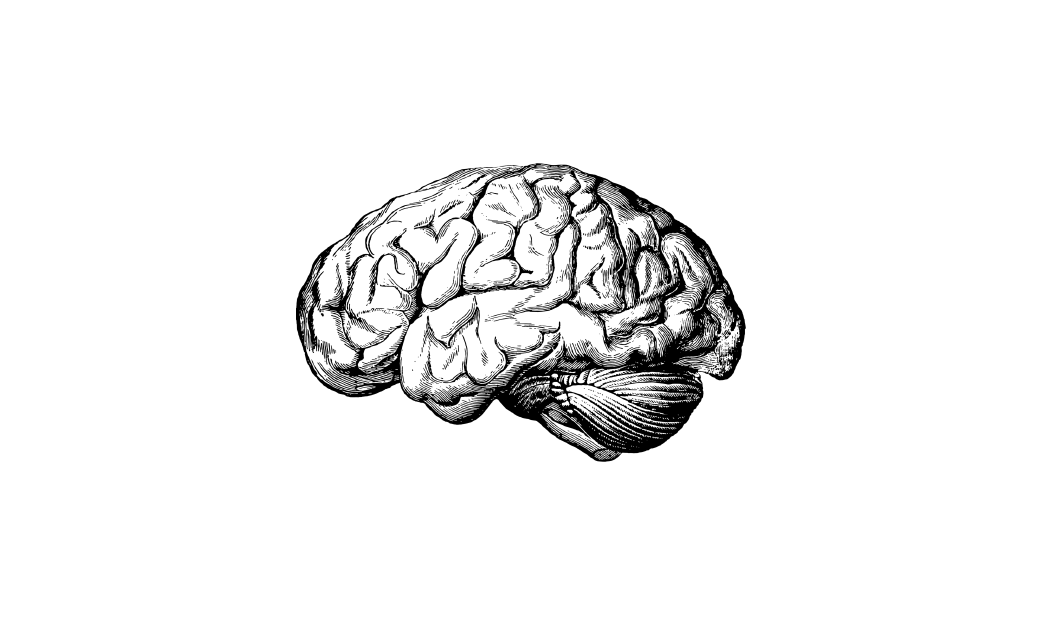 logotipo